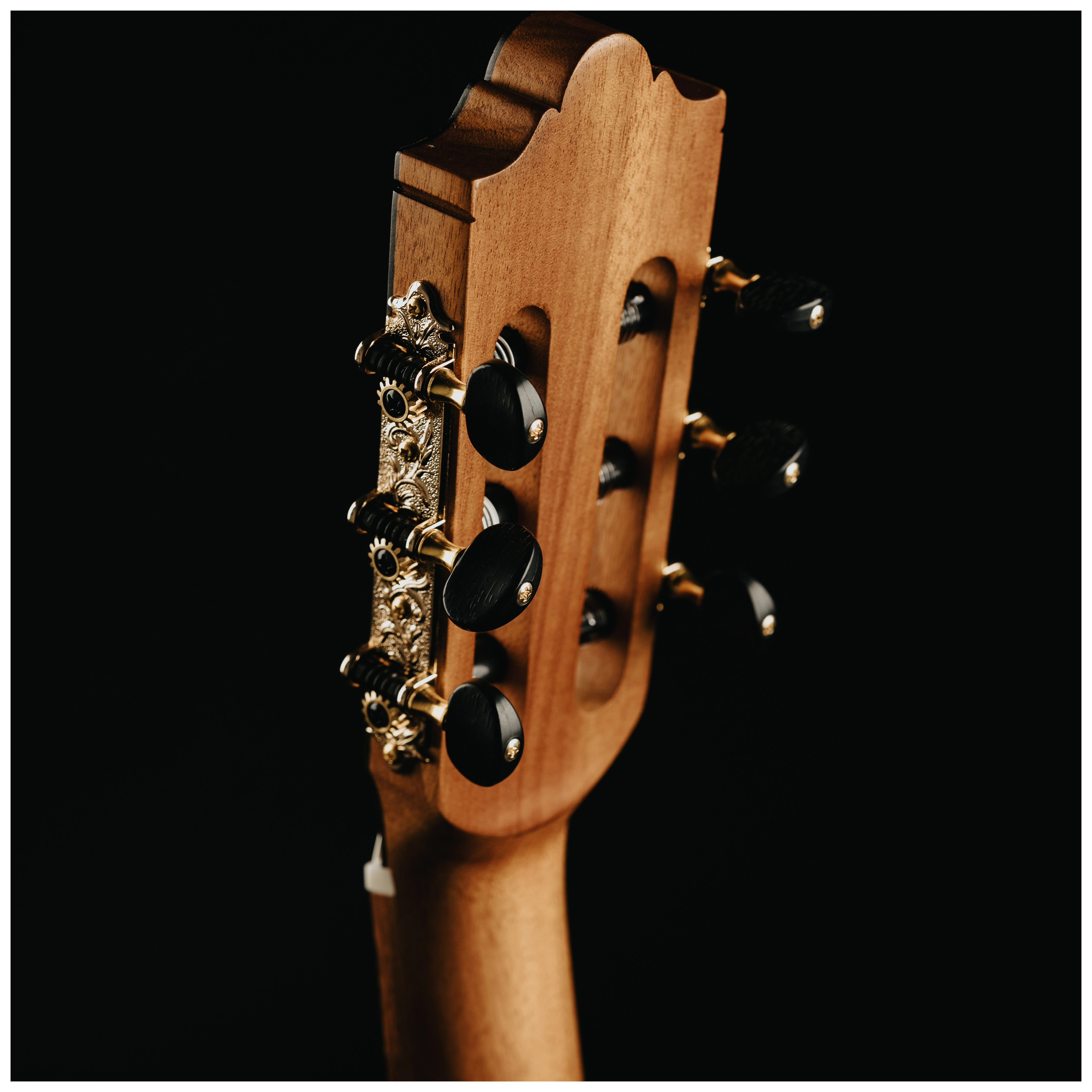 Maton Cantora Plus 4/4 LH 25