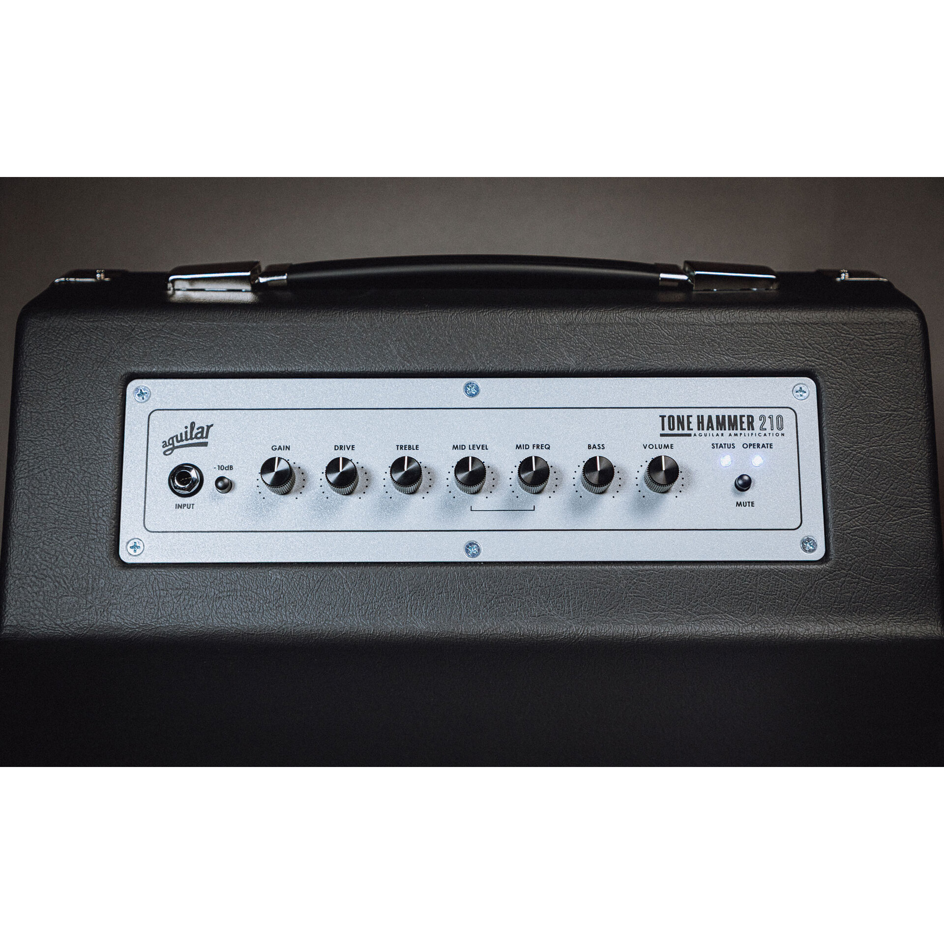 Aguilar Tonehammer 210 Combo 2