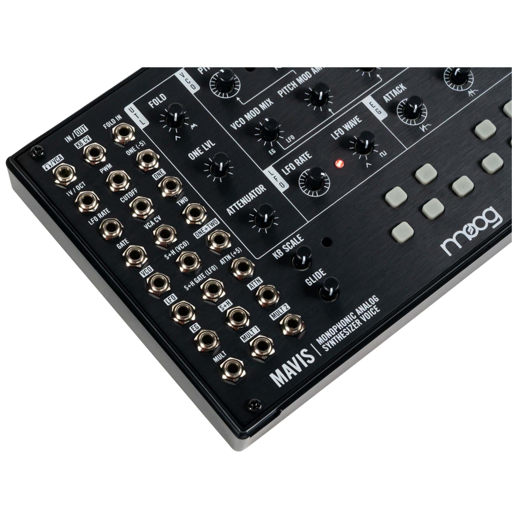 Image of Moog mavis 10028023 6