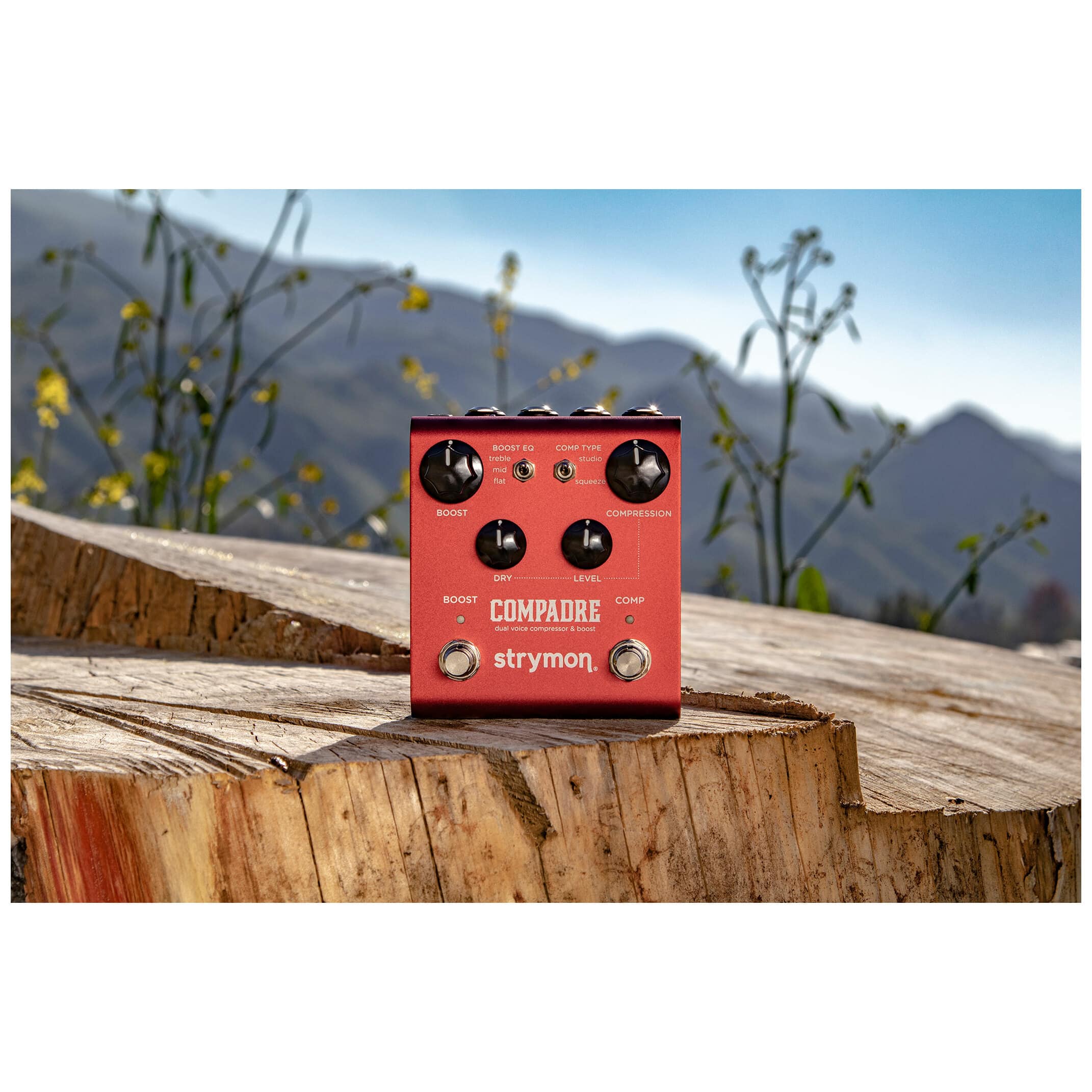 Strymon COMPADRE 6