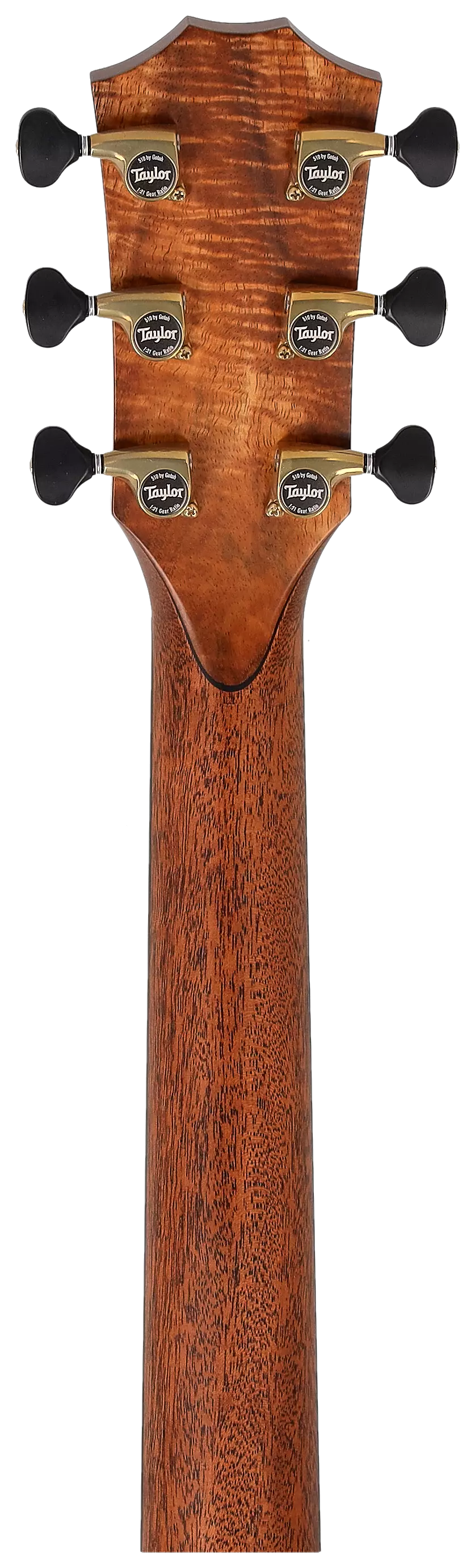 Taylor Custom GA C14ce Rosewood/Torrefied Sitka #6 6