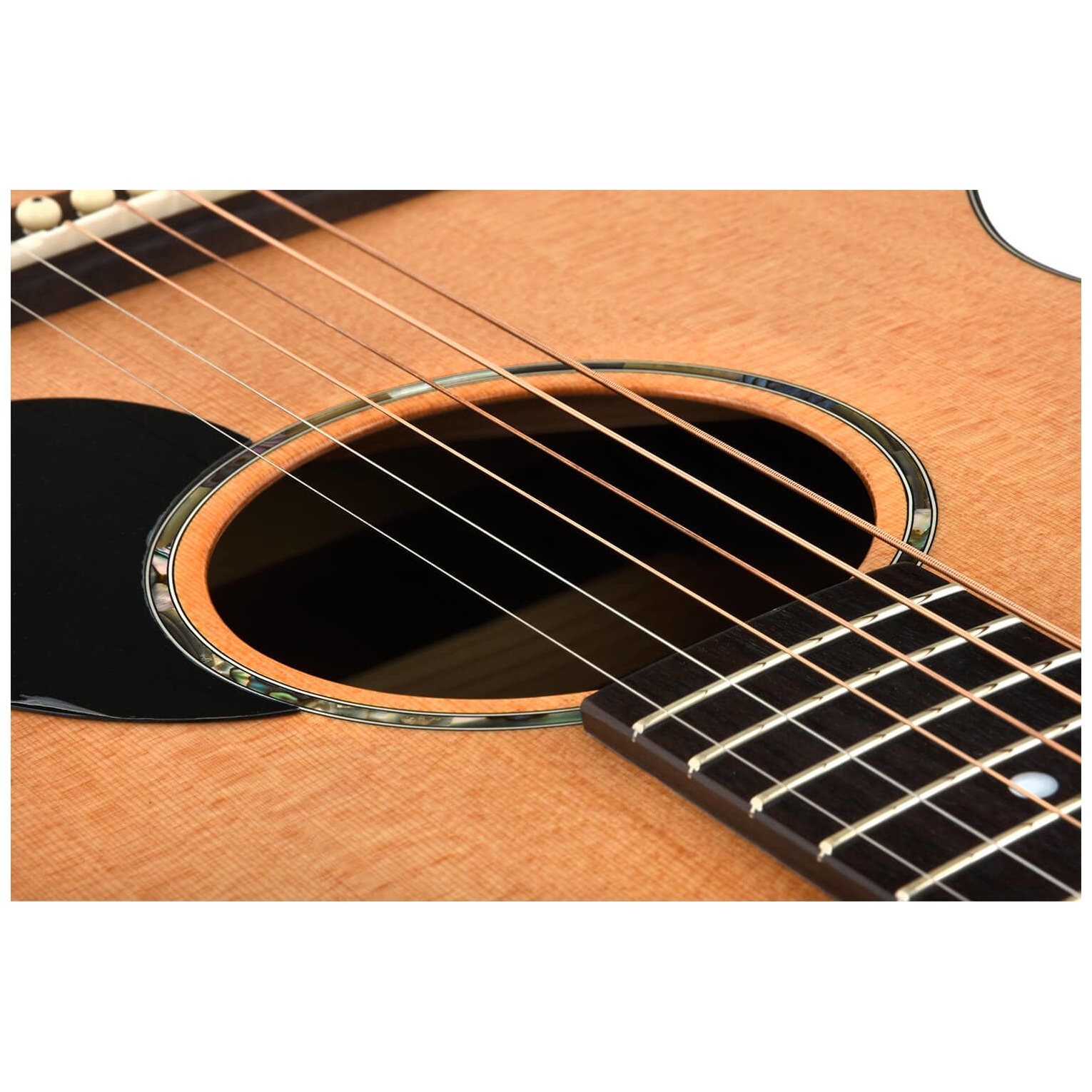 Image of Eastman pch1 om 10003764 5