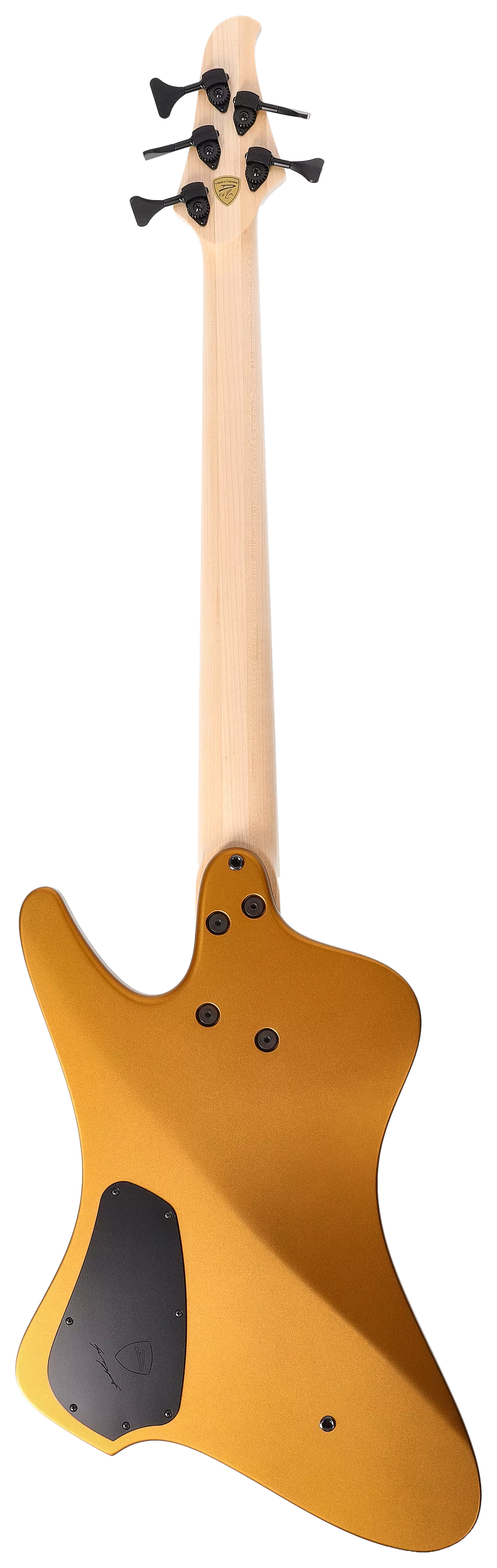 Dingwall D-Roc Custom 5 String Gold 2